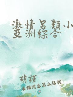 激情另类小说区亚洲综合