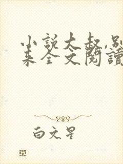 小说大叔,别乱来全文阅读