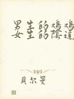 男生的鸡鸡插进女生的阴道里