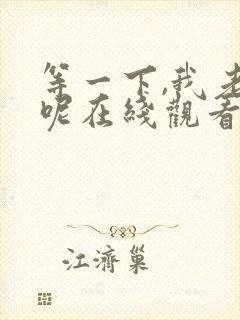 等一下,我老公呢在线观看