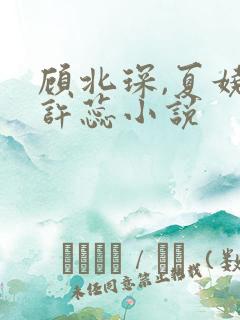 顾北琛,夏娆和许蕊小说