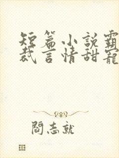 短篇小说霸道总裁言情甜宠