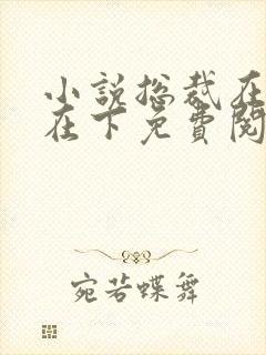 小说总裁在上我在下免费阅读