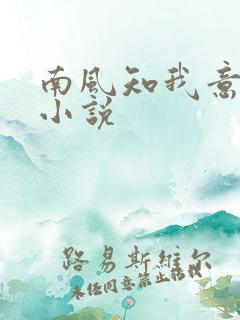 南风知我意免费小说
