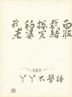 我的总裁白富美老婆完结版