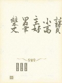 双男主小说推荐文笔好高质量