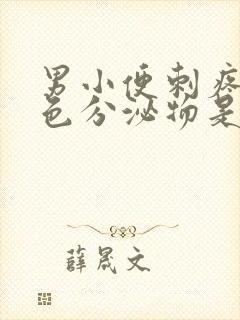 男小便刺疼有白色分泌物是什么