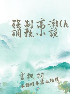 强制高潮(h)调教小说