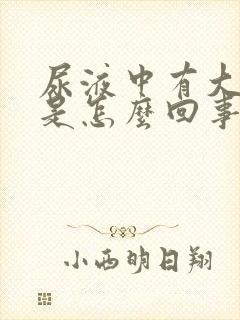 尿液中有大泡沫是怎么回事