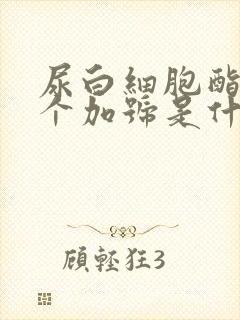 尿白细胞酯酶一个加号是什么意思