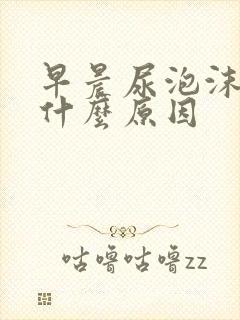 早晨尿泡沫多是什么原因