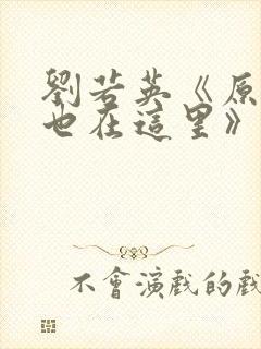 刘若英《原来你也在这里》歌词