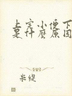 上完小便下面痒是什么原因