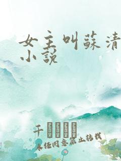 女主叫苏清涵的小说