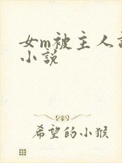 女m被主人调教小说