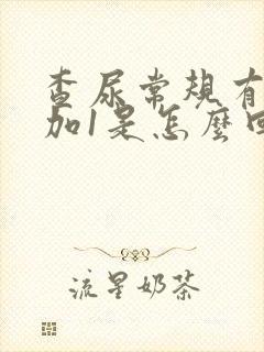 查尿常规有隐血加1是怎么回事