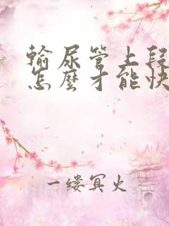 输尿管上段结石怎么才能快速排出来