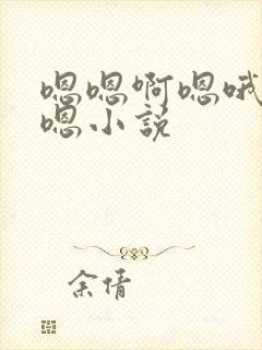 嗯嗯啊嗯哦啊嗯嗯小说