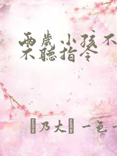 两岁小孩不说话不听指令