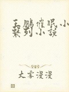 王鹏催眠小说系系列小说