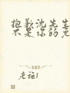 抱歉沈先生孩子不是你的免费短剧