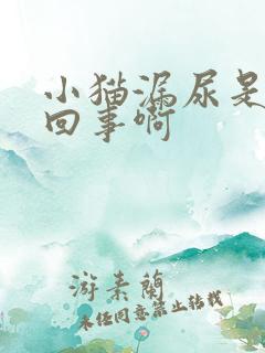 小猫漏尿是怎么回事啊