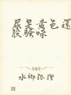 尿是黄色还有一股骚味