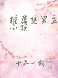 推荐双男主言情小说