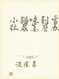 小猫咪到处拉屎拉尿怎么办