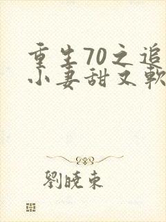 重生70之追夫小妻甜又软全文阅读