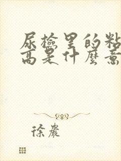 尿检里的粘液丝高是什么意思