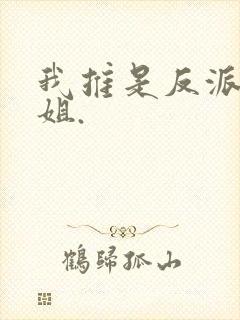 我推是反派大小姐.