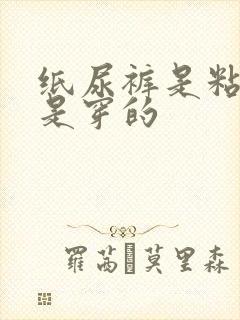 纸尿裤是粘的还是穿的