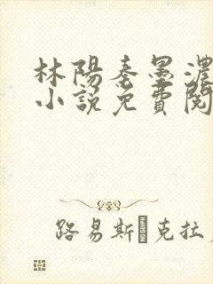 林阳秦墨浓正版小说免费阅读