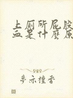 上厕所屁股擦出血是什么原因