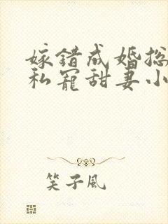 嫁错成婚总裁的私宠甜妻小说