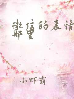 微信的表情包在哪里