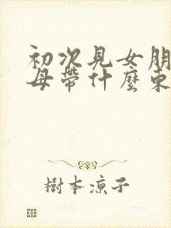 初次见女朋友父母带什么东西