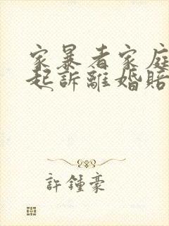 家暴者家庭暴力起诉离婚赔偿