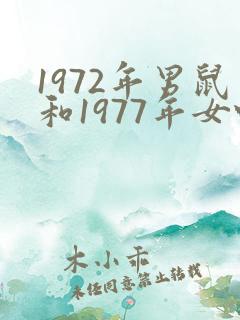 1972年男鼠和1977年女蛇婚姻如何