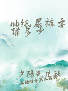 nb纸尿裤要准备多少