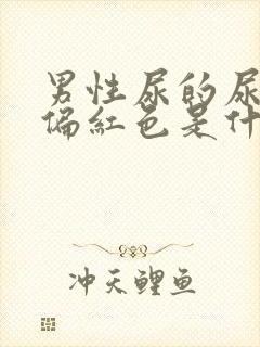 男性尿的尿有点偏红色是什么原因