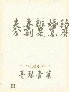 夫妻离婚的财产分割是怎么分的