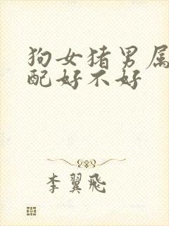 狗女猪男属相婚配好不好