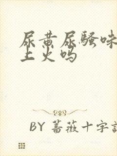 尿黄尿骚味重是上火吗