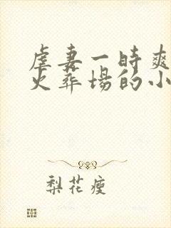 虐妻一时爽追妻火葬场的小说现言