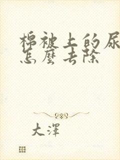 棉被上的尿骚味怎么去除