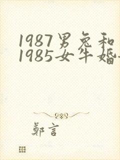 1987男兔和1985女牛婚姻好不好