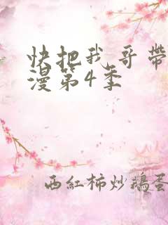 快把我哥带走动漫第4季