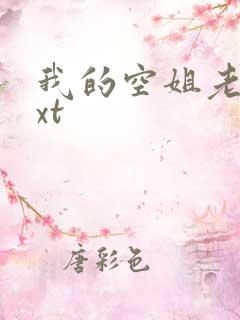 我的空姐老婆txt